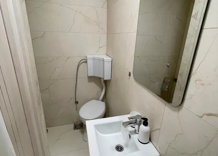 Alone نوفي ساد