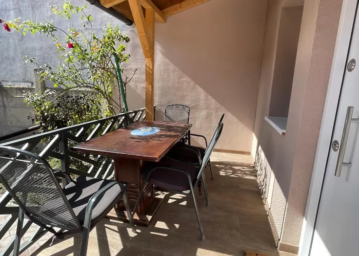 Alone نوفي ساد